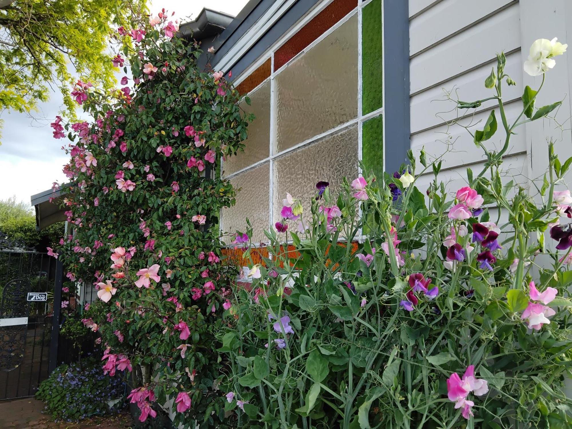 Guthrie Cottage Havelock North Exteriér fotografie